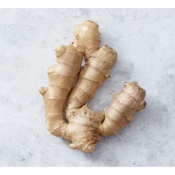 Ginger (25)-5738266-25786.webp